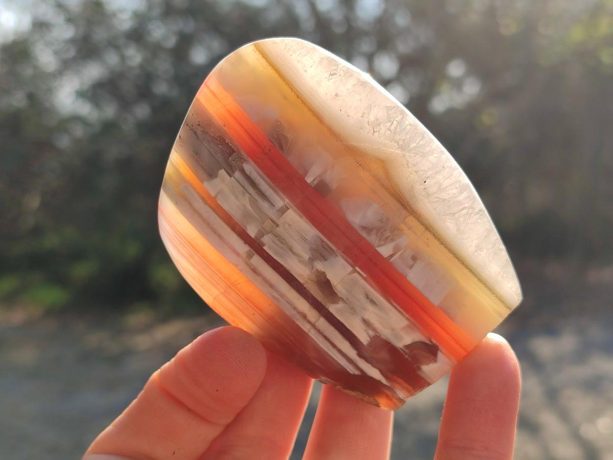 Polished Red Shashe River Agate Standing Display Pieces and Free Forms x 6 From Shashe River, Zimbabwe - Toprock Gemstones and Minerals 