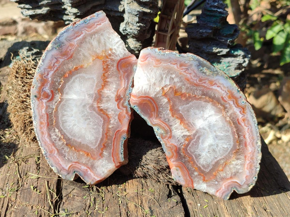 Polished One Side Red Shashe River Agate Slices x 4 From Shashe River, Zimbabwe - Toprock Gemstones and Minerals 