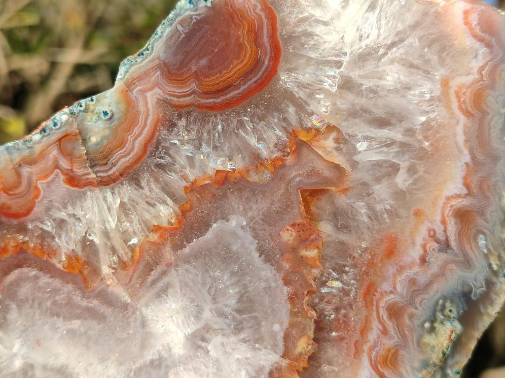 Polished One Side Red Shashe River Agate Slices x 4 From Shashe River, Zimbabwe - Toprock Gemstones and Minerals 