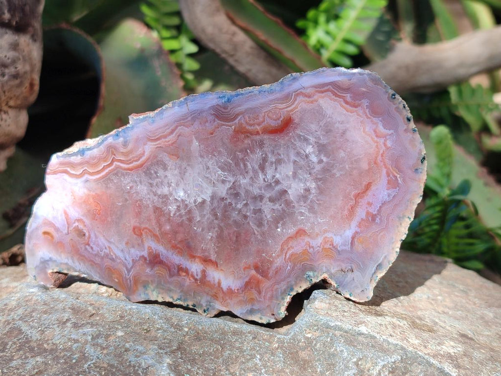 Polished One Side Red Shashe River Agate Slices x 4 From Shashe River, Zimbabwe - Toprock Gemstones and Minerals 