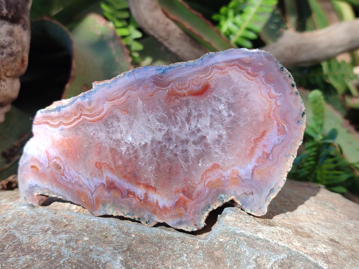 Polished One Side Red Shashe River Agate Slices x 4 From Shashe River, Zimbabwe - Toprock Gemstones and Minerals 