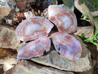 Polished One Side Red Shashe River Agate Slices x 4 From Shashe River, Zimbabwe - Toprock Gemstones and Minerals 