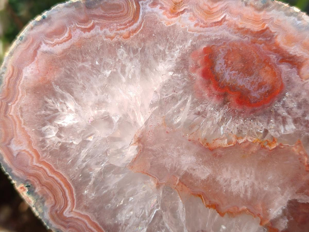Polished One Side Red Shashe River Agate Slices x 4 From Shashe River, Zimbabwe - Toprock Gemstones and Minerals 