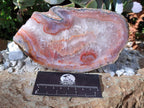 Polished One Side Red Shashe River Agate Slices x 4 From Shashe River, Zimbabwe - Toprock Gemstones and Minerals 