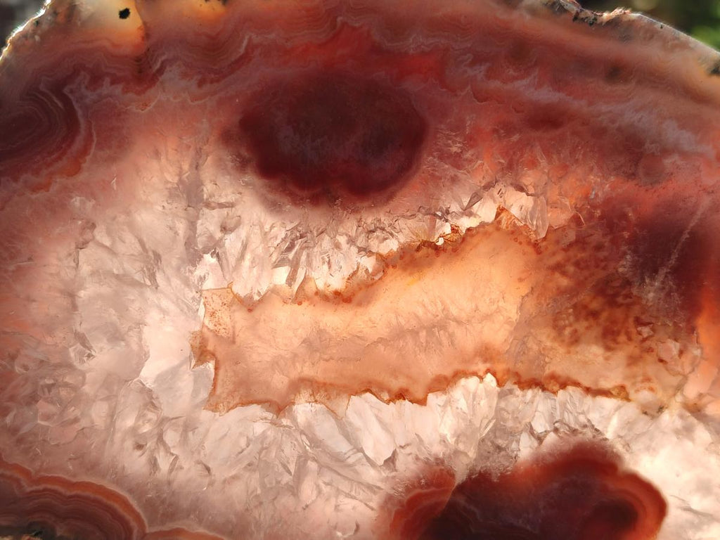 Polished One Side Red Shashe River Agate Slices x 4 From Shashe River, Zimbabwe - Toprock Gemstones and Minerals 