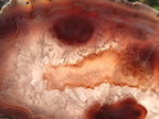 Polished One Side Red Shashe River Agate Slices x 4 From Shashe River, Zimbabwe - Toprock Gemstones and Minerals 