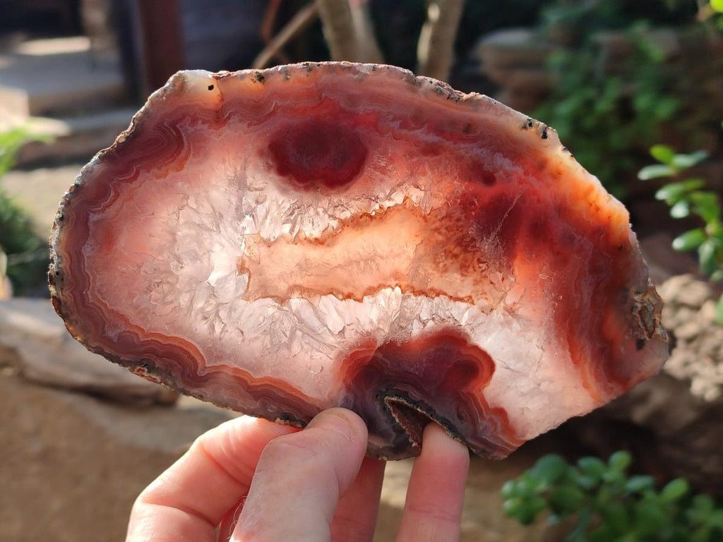 Polished One Side Red Shashe River Agate Slices x 4 From Shashe River, Zimbabwe - Toprock Gemstones and Minerals 