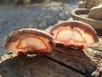 Polished One Side Red Shashe River Agate Slices x 4 From Shashe River, Zimbabwe - Toprock Gemstones and Minerals 