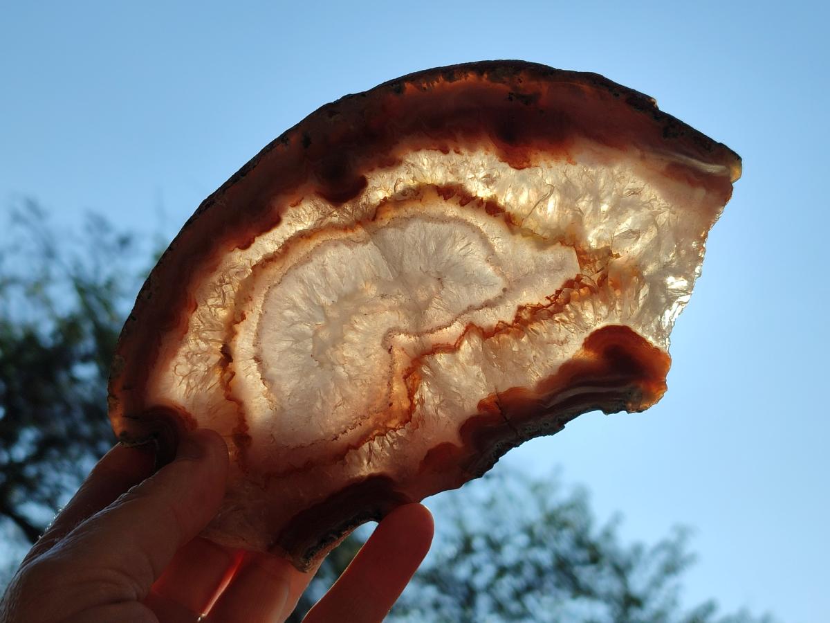Polished One Side Red Shashe River Agate Slices x 4 From Shashe River, Zimbabwe - Toprock Gemstones and Minerals 