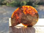 Polished Cleoniceras Ammonite Fossil Pairs x 12 pairs From Tulear, Madagascar - Toprock Gemstones and Minerals 