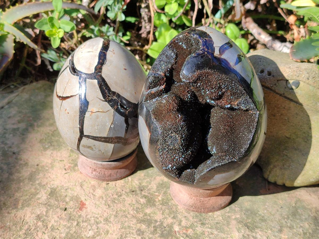 Polished Septerye Sauvage "Dragons Egg" Geodes x 2 From Mahajanga, Madagascar - Toprock Gemstones and Minerals 