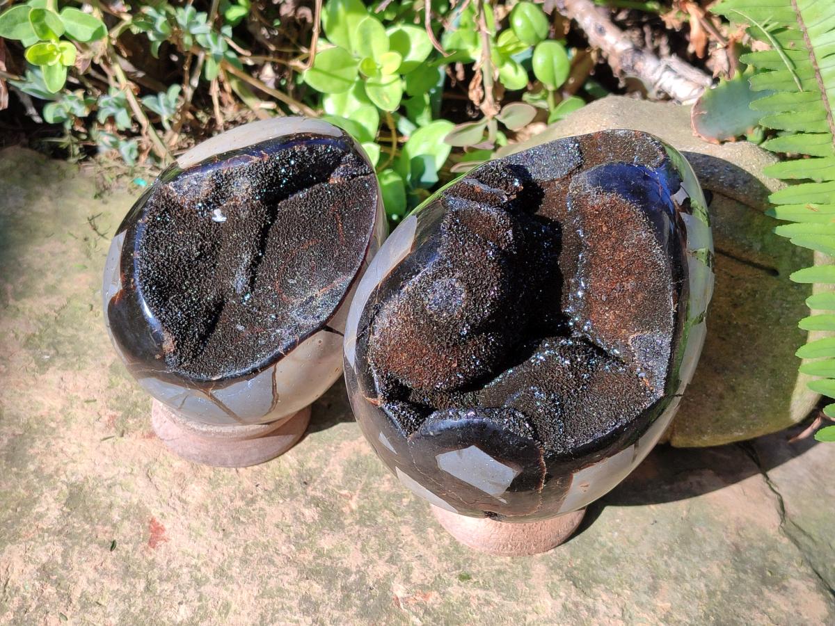 Polished Septerye Sauvage "Dragons Egg" Geodes x 2 From Mahajanga, Madagascar - Toprock Gemstones and Minerals 