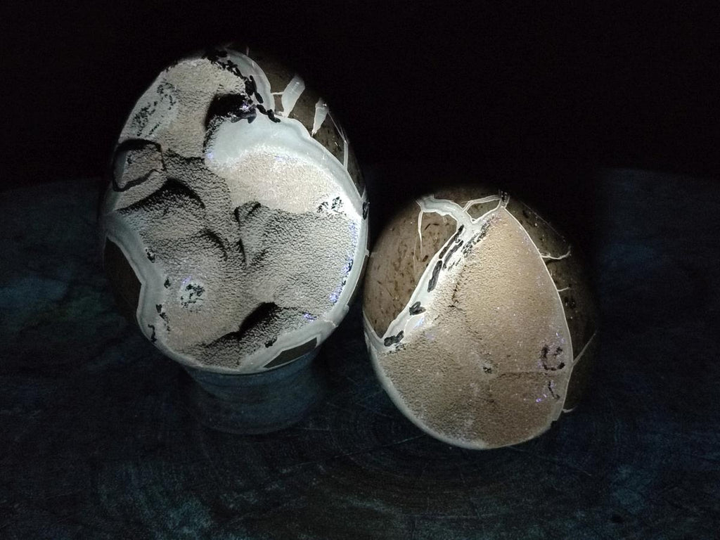 Polished Septerye Sauvage "Dragons Egg" Geodes x 2 From Mahajanga, Madagascar - Toprock Gemstones and Minerals 