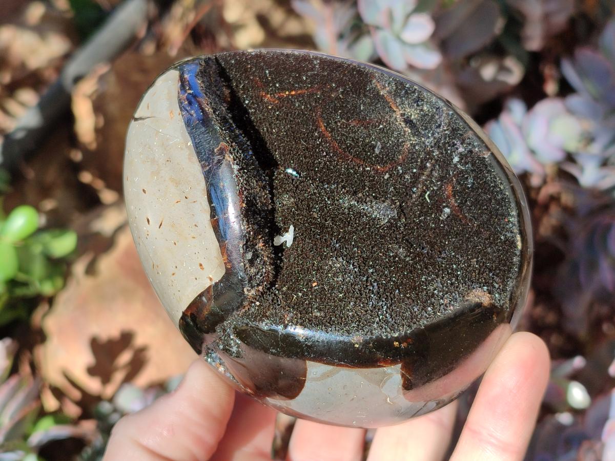 Polished Septerye Sauvage "Dragons Egg" Geodes x 2 From Mahajanga, Madagascar - Toprock Gemstones and Minerals 