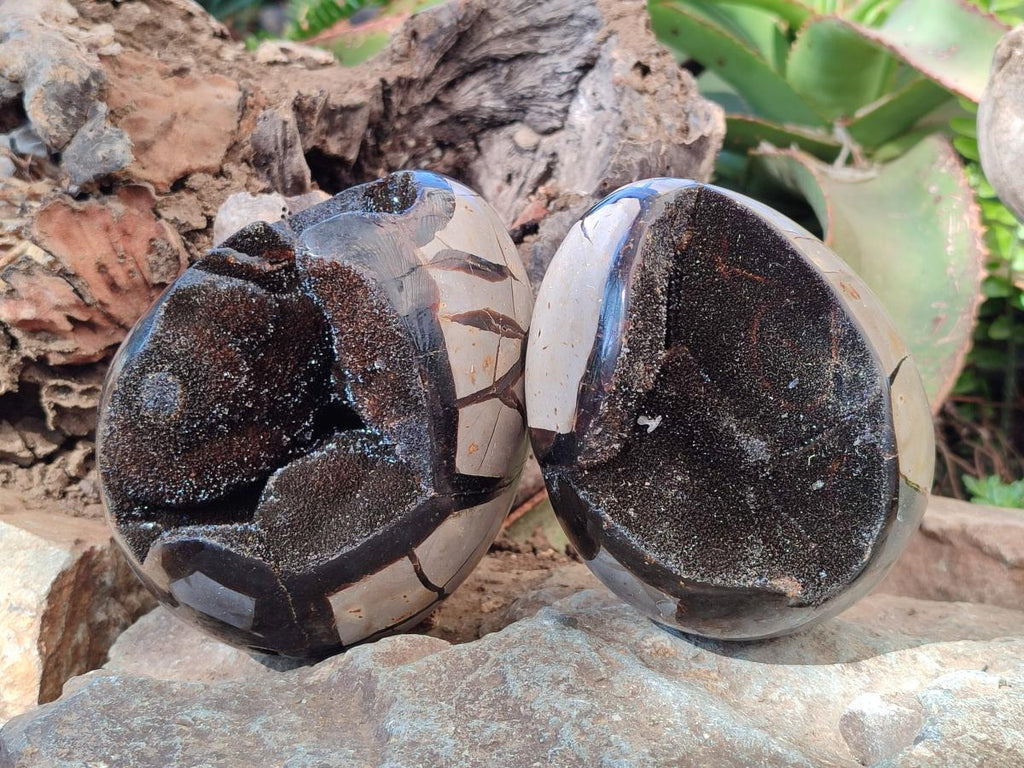 Polished Septerye Sauvage "Dragons Egg" Geodes x 2 From Mahajanga, Madagascar - Toprock Gemstones and Minerals 