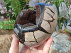 Polished Septerye Sauvage "Dragons Egg" Geodes x 2 From Mahajanga, Madagascar - Toprock Gemstones and Minerals 