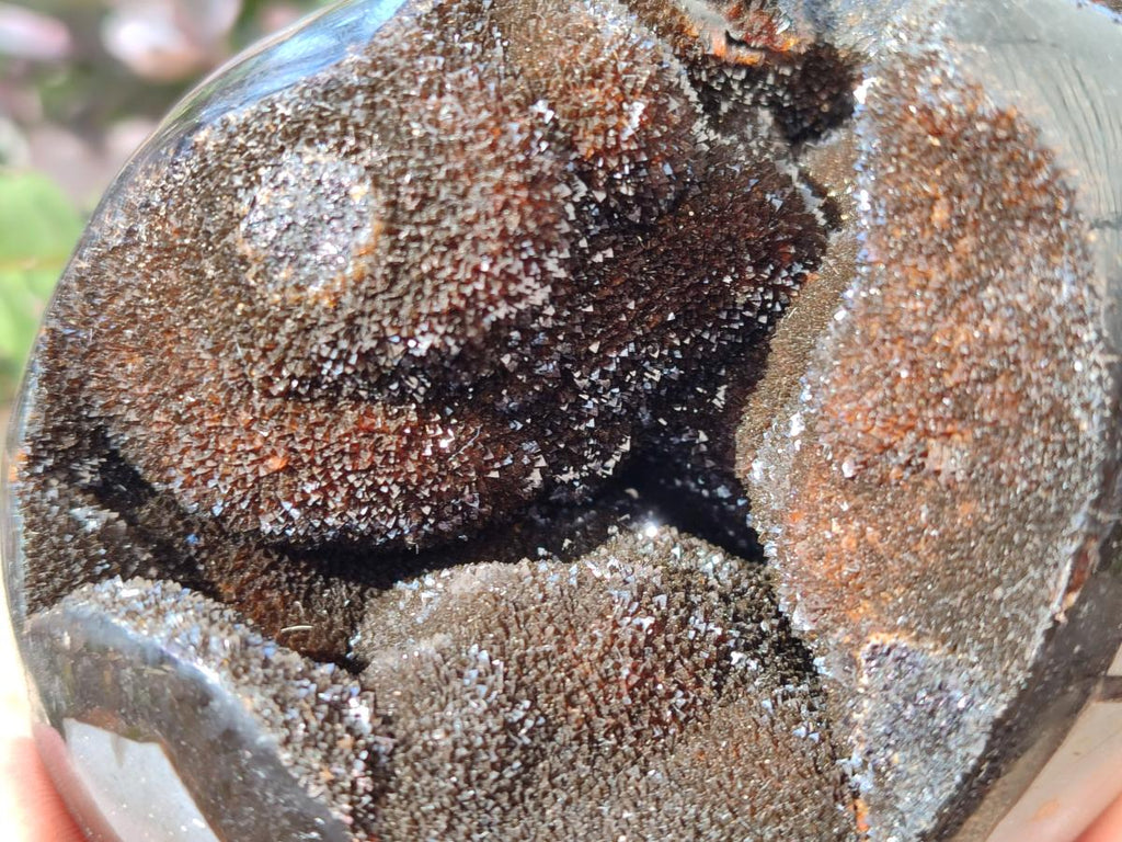 Polished Septerye Sauvage "Dragons Egg" Geodes x 2 From Mahajanga, Madagascar - Toprock Gemstones and Minerals 