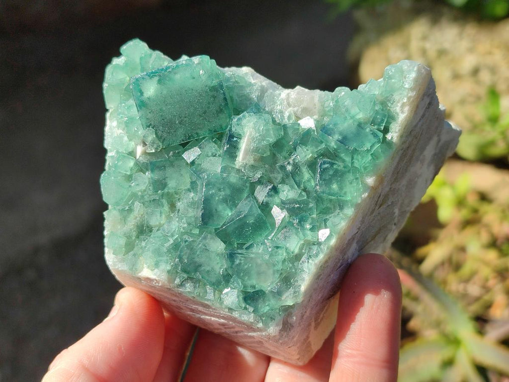 Natural Green Cubic Fluorite Specimens x 6 From Mandrosonoro, Madagascar - Toprock Gemstones and Minerals 