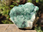 Natural Green Cubic Fluorite Specimens x 6 From Mandrosonoro, Madagascar - Toprock Gemstones and Minerals 
