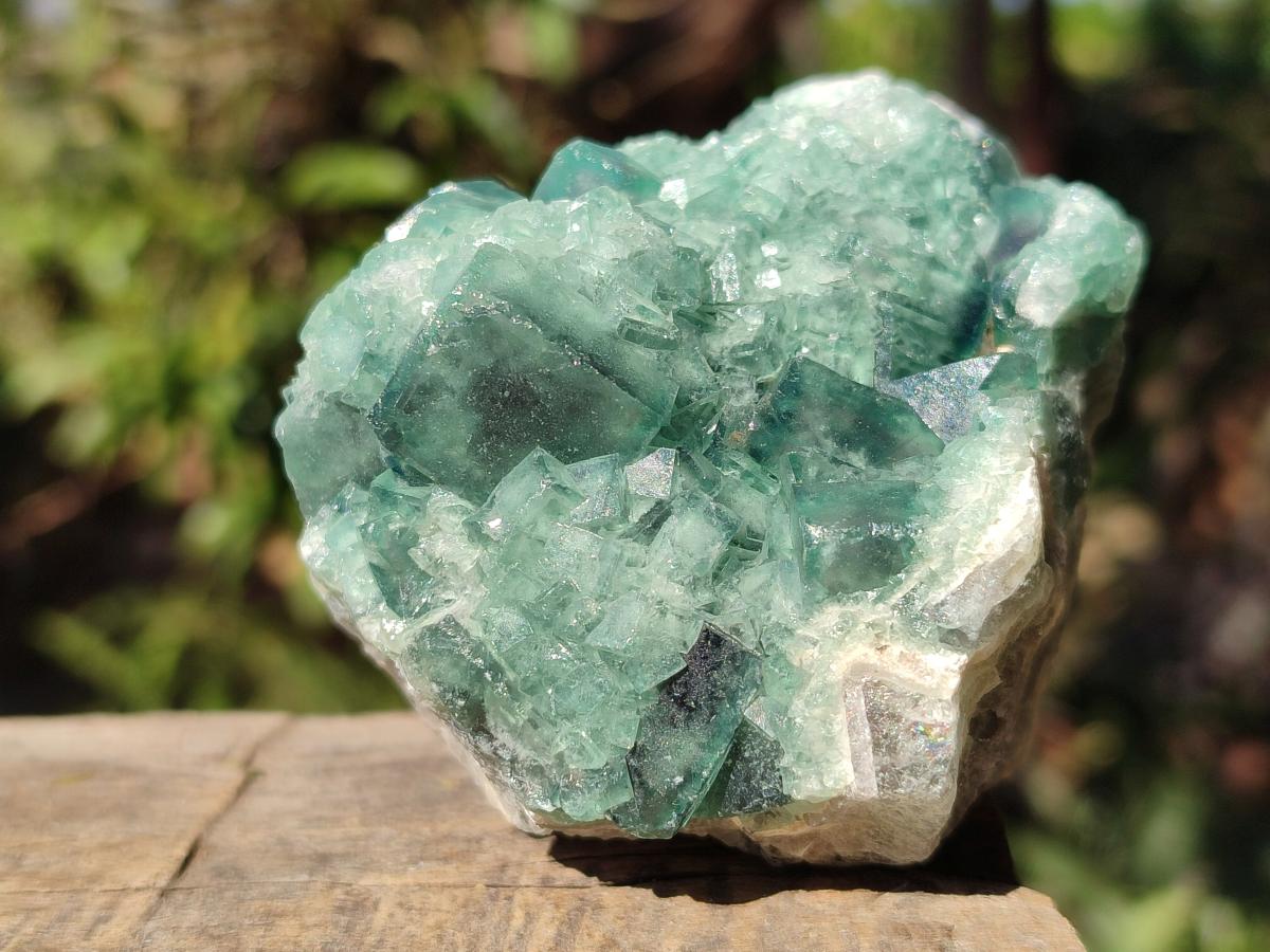 Natural Green Cubic Fluorite Specimens x 6 From Mandrosonoro, Madagascar - Toprock Gemstones and Minerals 