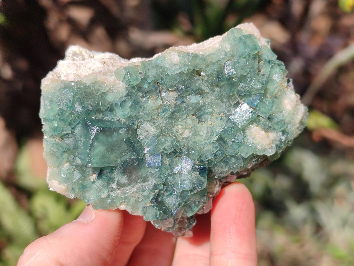 Natural Green Cubic Fluorite Specimens x 6 From Mandrosonoro, Madagascar - Toprock Gemstones and Minerals 