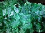 Natural Green Cubic Fluorite Specimens x 6 From Mandrosonoro, Madagascar - Toprock Gemstones and Minerals 