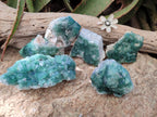 Natural Green Cubic Fluorite Specimens x 6 From Mandrosonoro, Madagascar - Toprock Gemstones and Minerals 