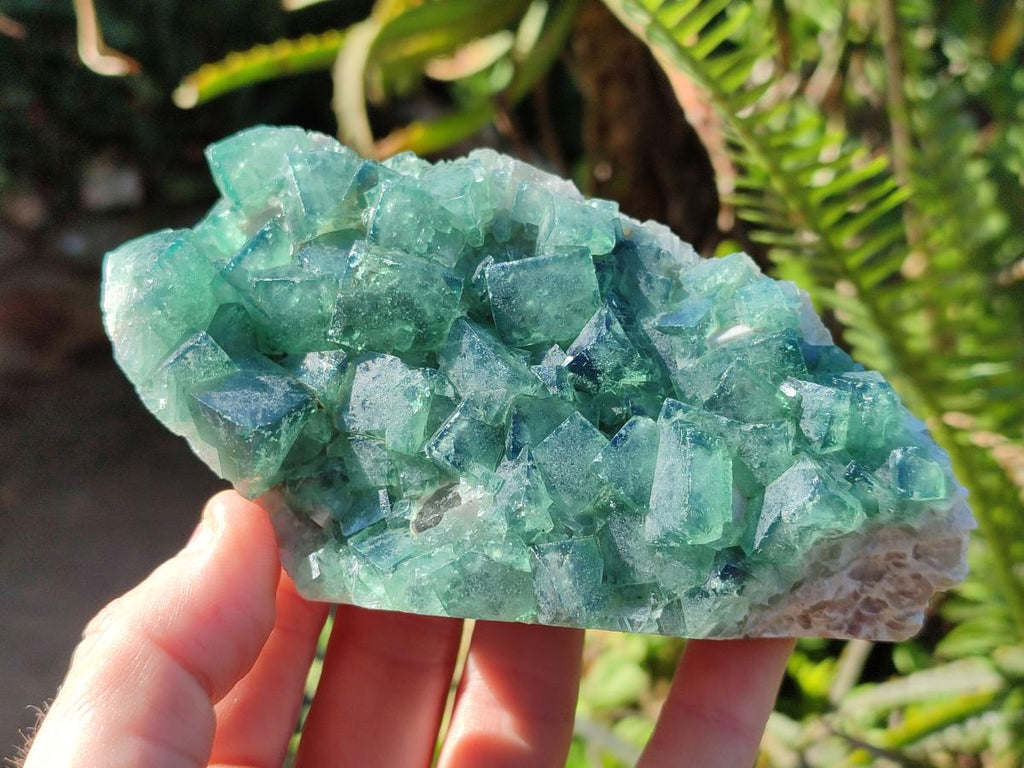 Natural Green Cubic Fluorite Specimens x 6 From Mandrosonoro, Madagascar - Toprock Gemstones and Minerals 