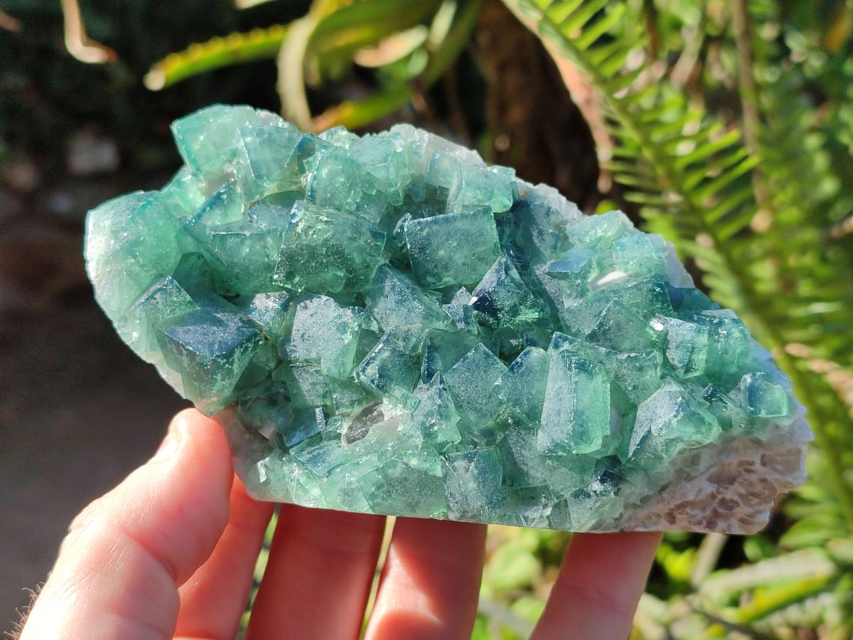 Natural Green Cubic Fluorite Specimens x 6 From Mandrosonoro, Madagascar - Toprock Gemstones and Minerals 