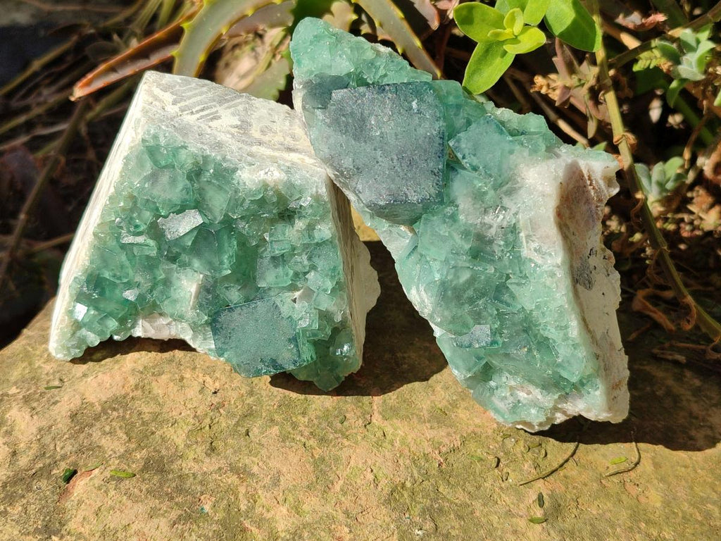 Natural Green Cubic Fluorite Specimens x 6 From Mandrosonoro, Madagascar - Toprock Gemstones and Minerals 