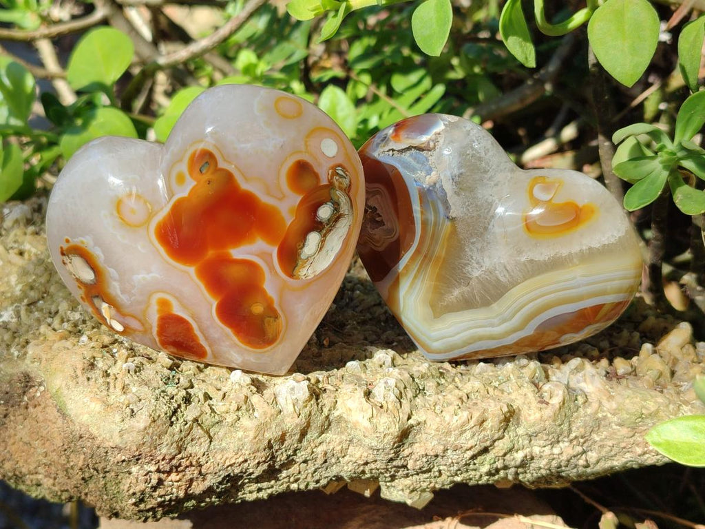 Polished Lemur Island Agate Hearts x 4 From Nosy Varika, Madagascar - Toprock Gemstones and Minerals 