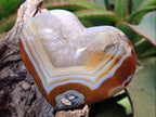 Polished Lemur Island Agate Hearts x 4 From Nosy Varika, Madagascar - Toprock Gemstones and Minerals 