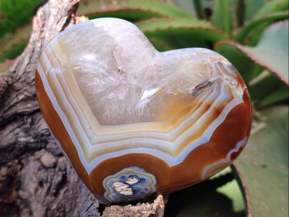 Polished Lemur Island Agate Hearts x 4 From Nosy Varika, Madagascar - Toprock Gemstones and Minerals 