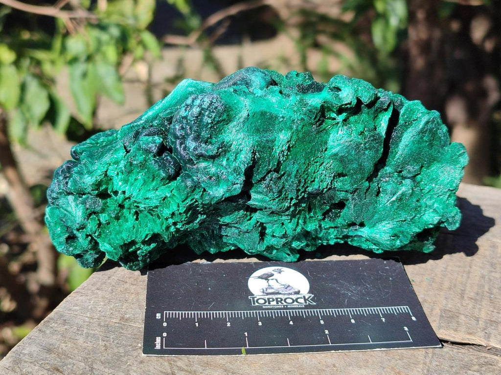 Natural Silky Malachite Specimens x 2 From Kasompe, Congo - Toprock Gemstones and Minerals 