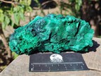 Natural Silky Malachite Specimens x 2 From Kasompe, Congo - Toprock Gemstones and Minerals 