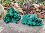 Natural Silky Malachite Specimens x 2 From Kasompe, Congo - Toprock Gemstones and Minerals 
