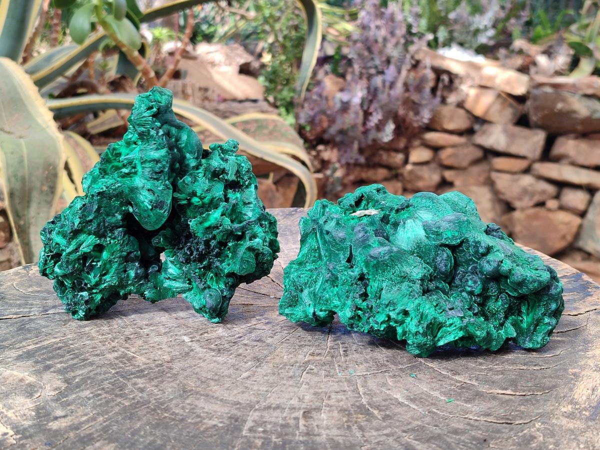 Natural Silky Malachite Specimens x 2 From Kasompe, Congo - Toprock Gemstones and Minerals 