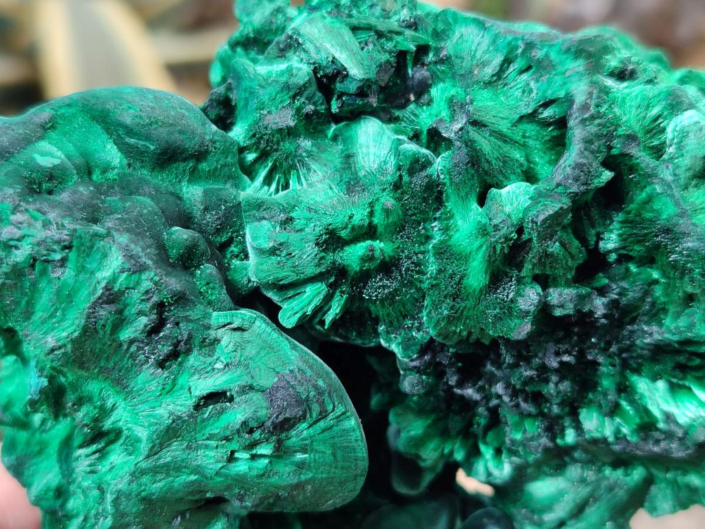 Natural Silky Malachite Specimens x 2 From Kasompe, Congo - Toprock Gemstones and Minerals 