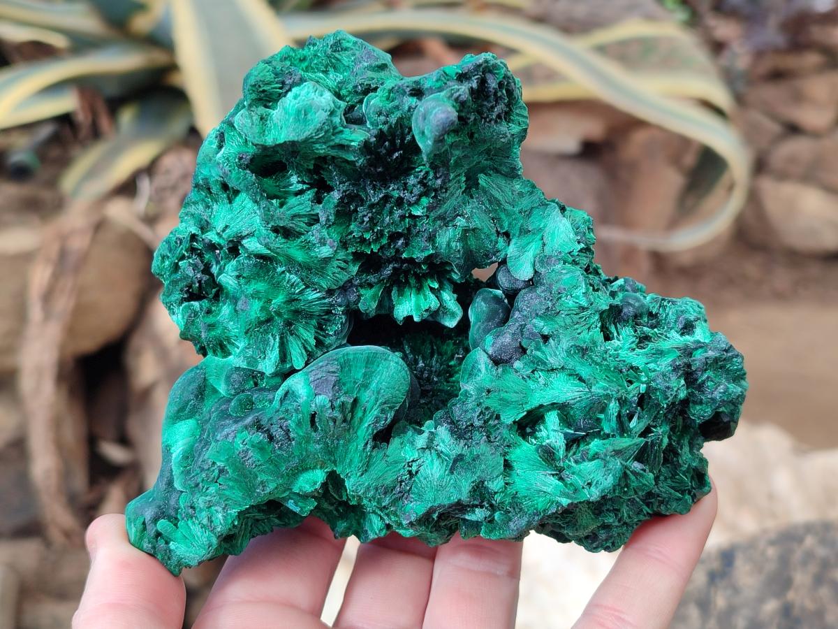 Natural Silky Malachite Specimens x 2 From Kasompe, Congo - Toprock Gemstones and Minerals 