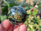Polished Stromatolite "Kambaba Jasper" Spheres x 12 From Katsepy, Madagascar - Toprock Gemstones and Minerals 
