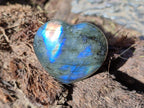 Polished Labradorite Palm Stones x 24 From Madagascar - Toprock Gemstones and Minerals 
