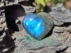 Polished Labradorite Palm Stones x 24 From Madagascar - Toprock Gemstones and Minerals 