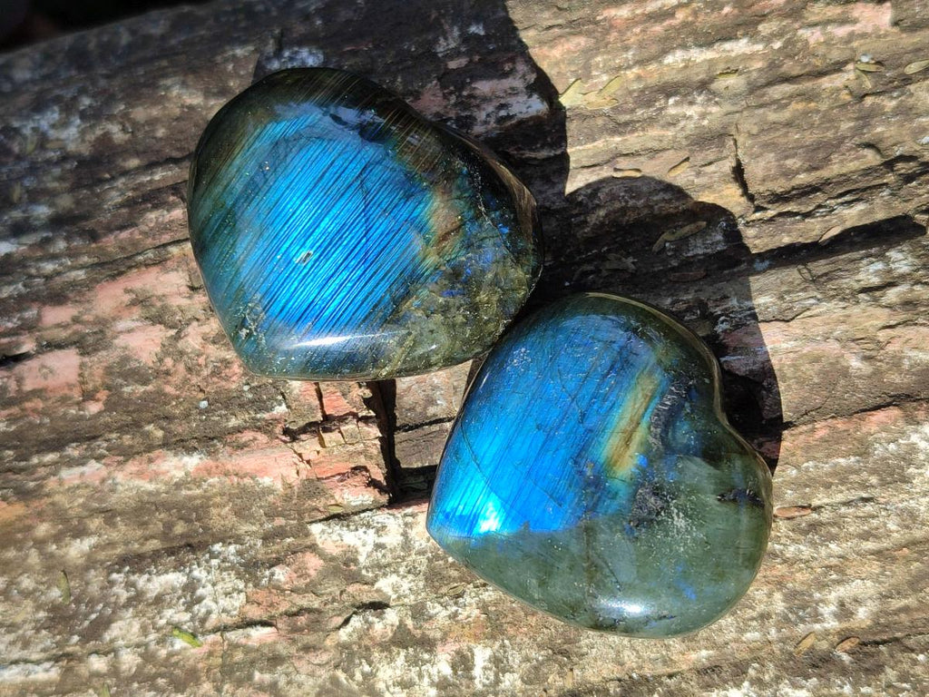 Polished Labradorite Palm Stones x 24 From Madagascar - Toprock Gemstones and Minerals 