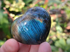 Polished Labradorite Palm Stones x 24 From Madagascar - Toprock Gemstones and Minerals 
