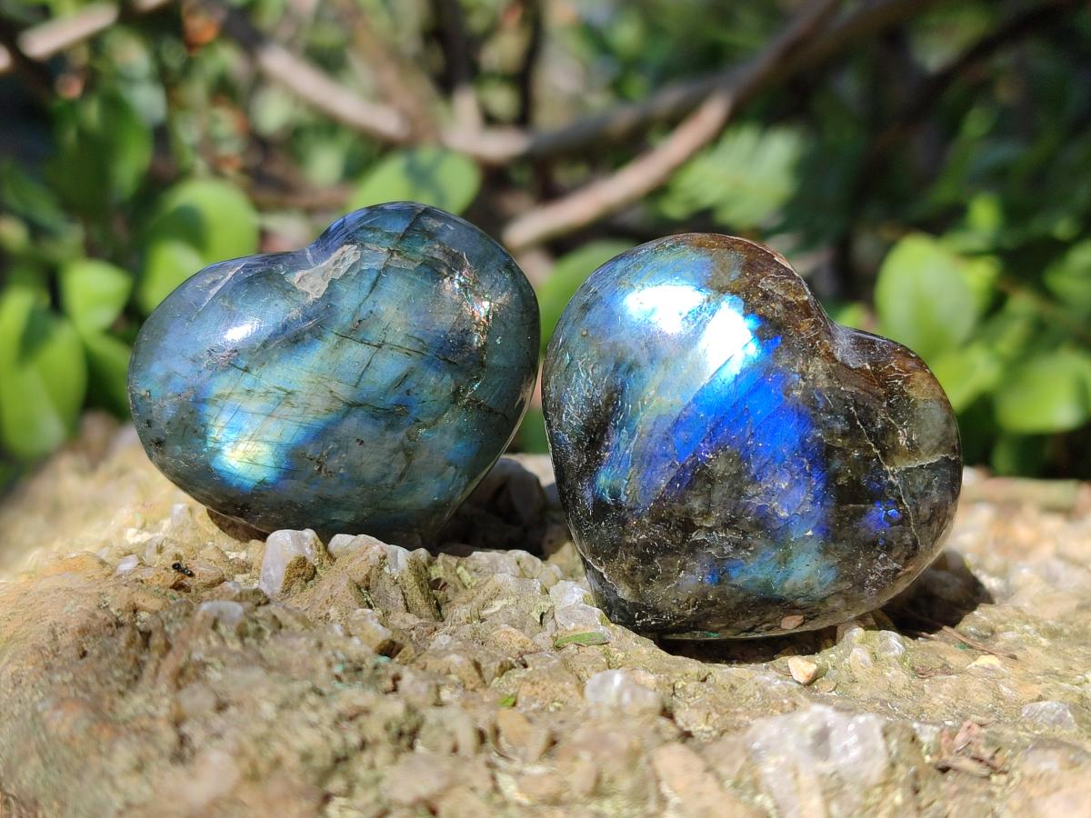 Polished Labradorite Palm Stones x 24 From Madagascar - Toprock Gemstones and Minerals 