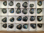 Polished Labradorite Palm Stones x 24 From Madagascar - Toprock Gemstones and Minerals 