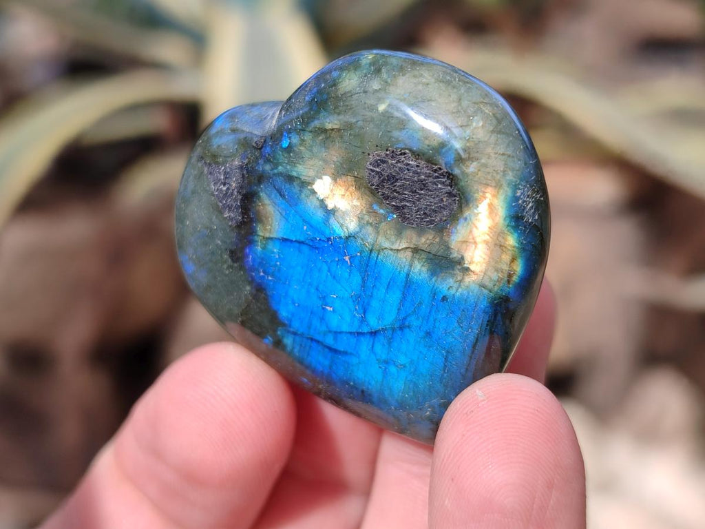 Polished Labradorite Palm Stones x 24 From Madagascar - Toprock Gemstones and Minerals 