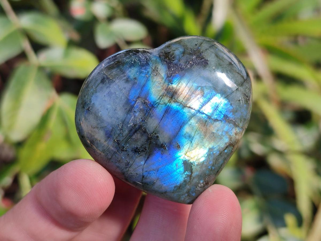 Polished Labradorite Palm Stones x 24 From Madagascar - Toprock Gemstones and Minerals 