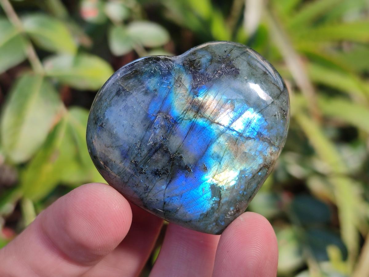 Polished Labradorite Palm Stones x 24 From Madagascar - Toprock Gemstones and Minerals 