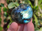 Polished Labradorite Palm Stones x 24 From Madagascar - Toprock Gemstones and Minerals 